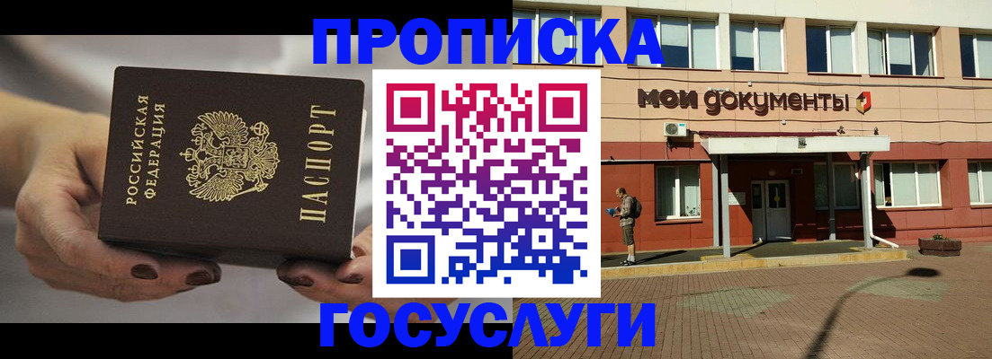 временная регистрация госуслуги в Щёлково